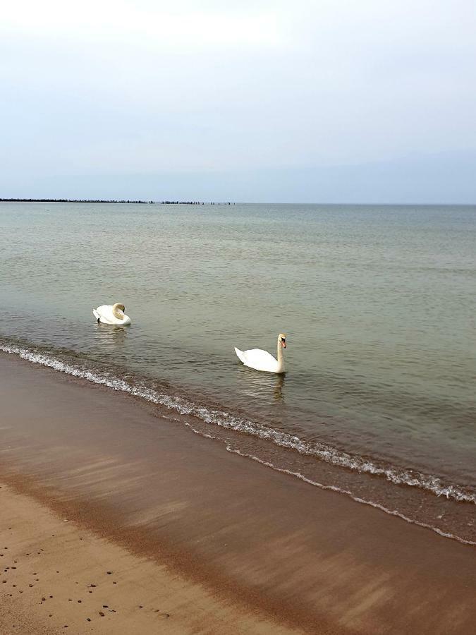 Palanga Apartments Near Baltic Sea Exterior foto